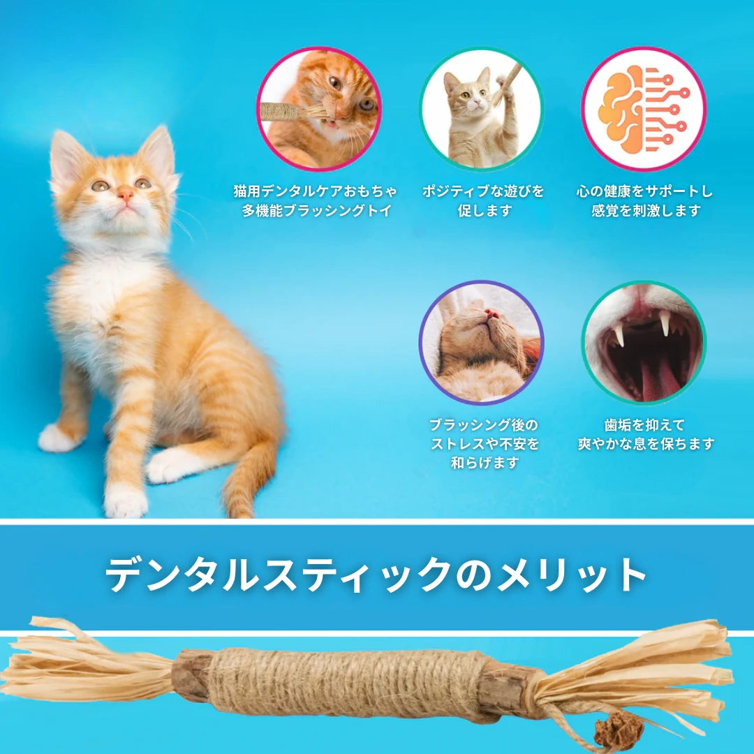 カミカミするだけで歯の表面を磨くだけでなく、猫ちゃんの歯を清潔に保つお手伝いをします。