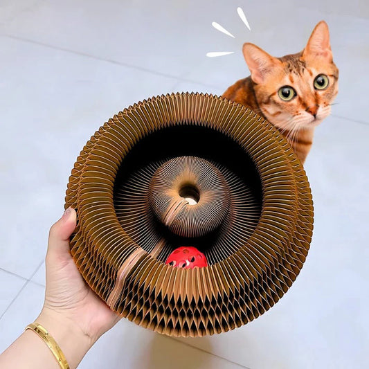 くるりんコロコロ™――猫の知育と運動本能を同時に満たすインタラクティブおもちゃ
