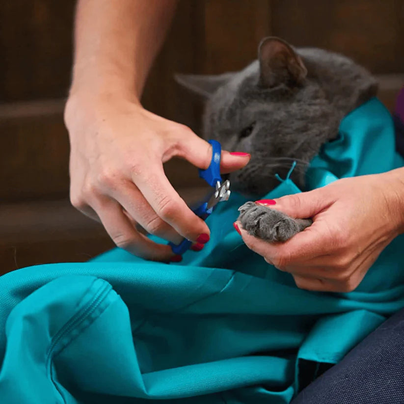【1個買うと1個無料】愛猫専用ストレスフリーキャリー「ネコまもり」