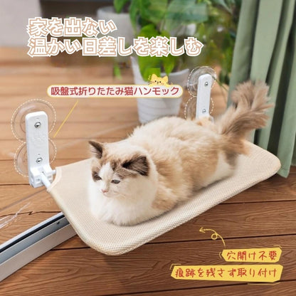 窓に吸盤で固定した「陽だまりウィンドウハンモック」でくつろぐ猫。穴あけ不要で日向ぼっこに最適。