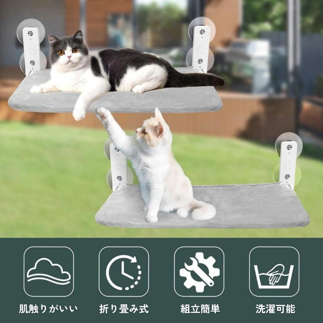 上下2段に設置した陽だまりウィンドウハンモックで遊ぶ2匹の猫。吸盤固定・折りたたみ式・カバー洗濯可。