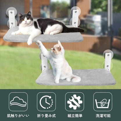 上下2段に設置した陽だまりウィンドウハンモックで遊ぶ2匹の猫。吸盤固定・折りたたみ式・カバー洗濯可。
