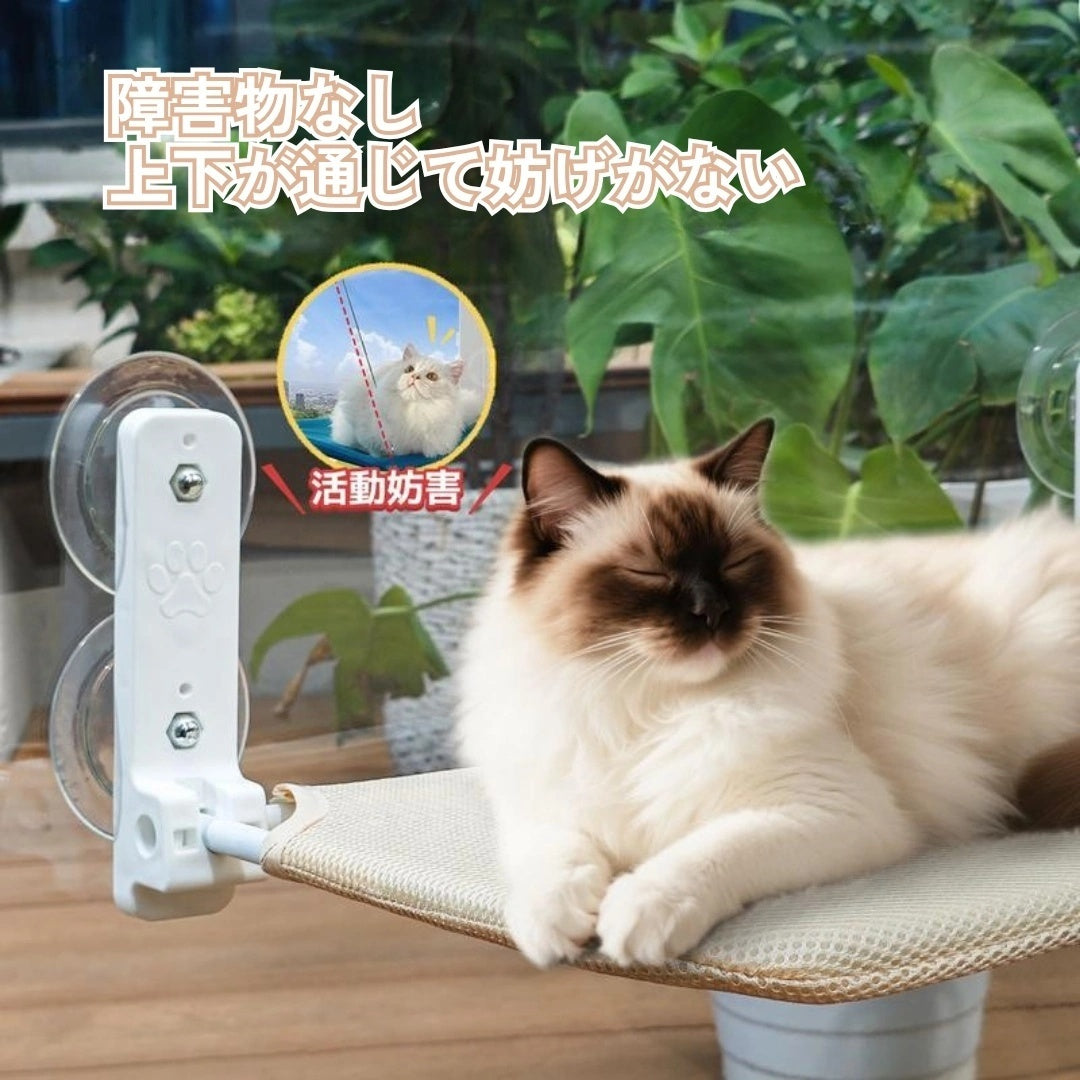 側面のみで支える設計で視界をさえぎらない陽だまりウィンドウハンモックでくつろぐ猫。