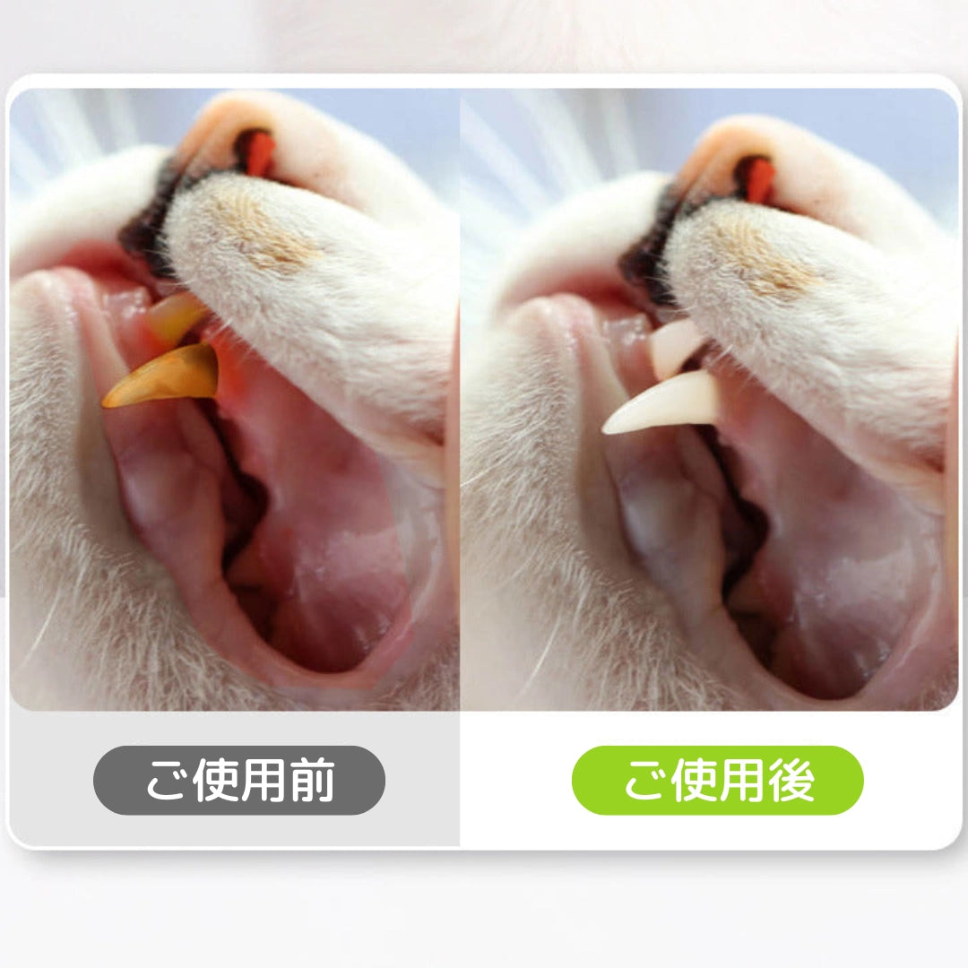 お口の中の細菌を98.99%抑制。天然またたびスティックが、気になる口臭の元や歯垢・歯石の付着を抑え、歯肉炎や歯周炎といった歯ぐきの炎症も優しくケアします。