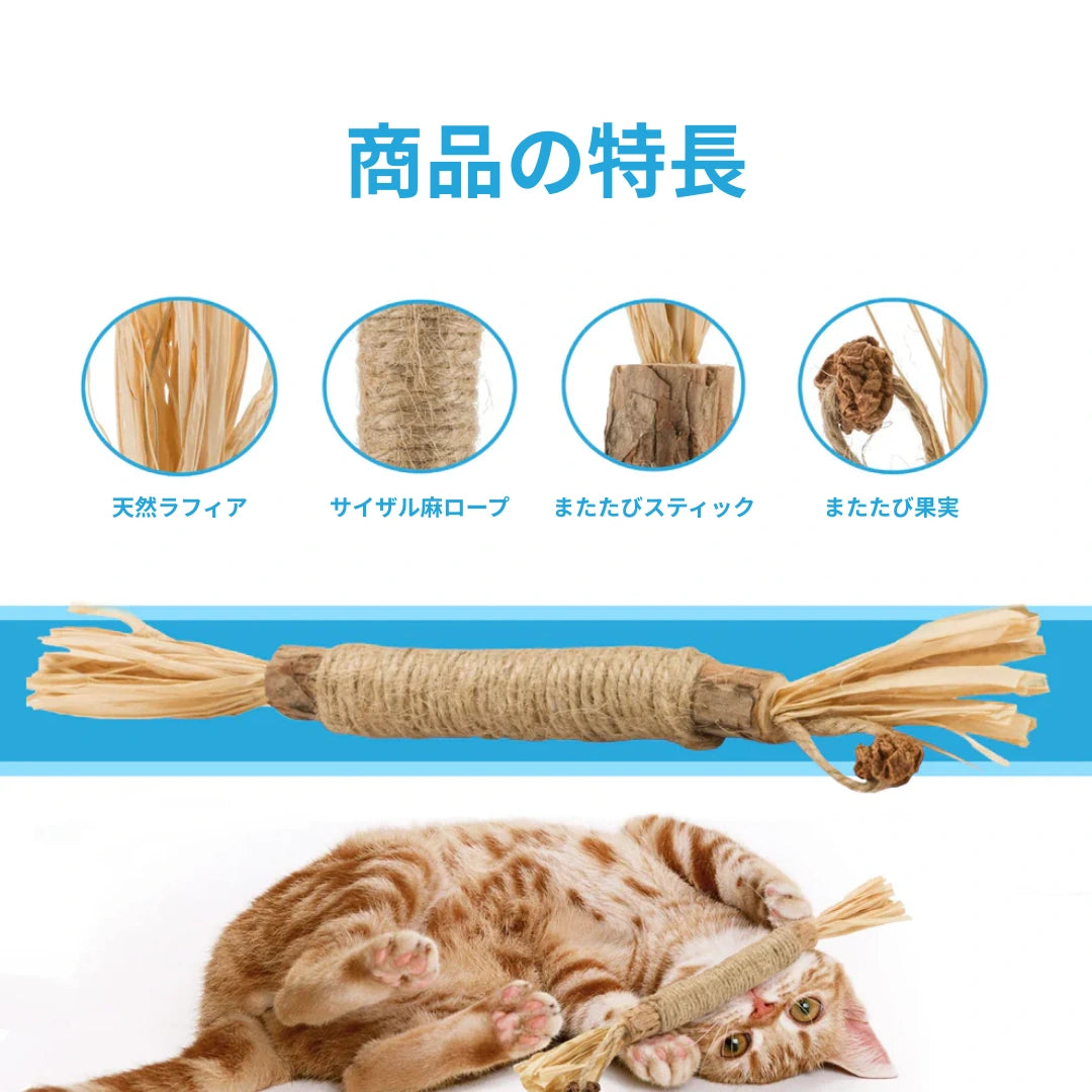 猫ちゃんが夢中になる秘密
