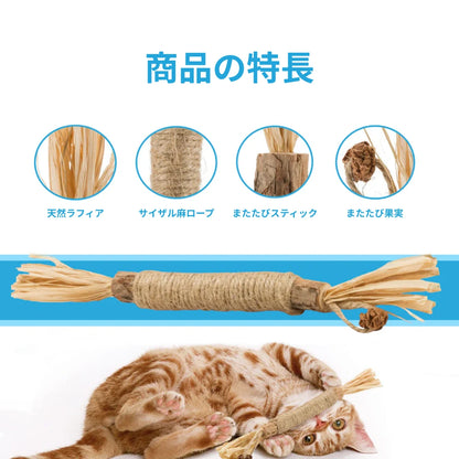 猫ちゃんが夢中になる秘密