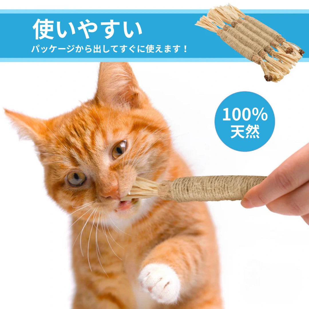 遊びながらお口も体もケア。ストレス解消にも