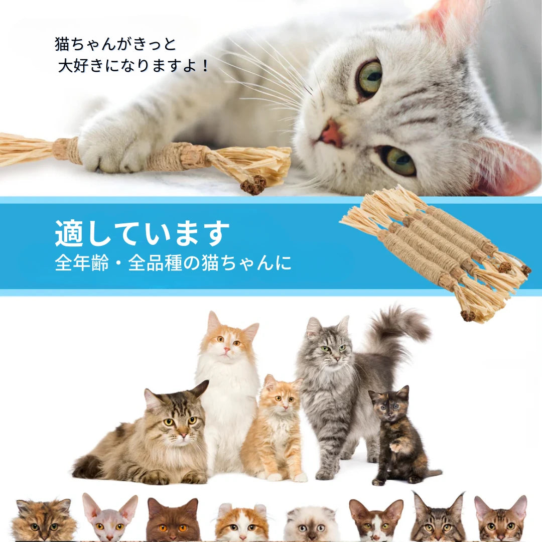 丈夫で長持ち！お手入れも簡単なデンタルケアトイ