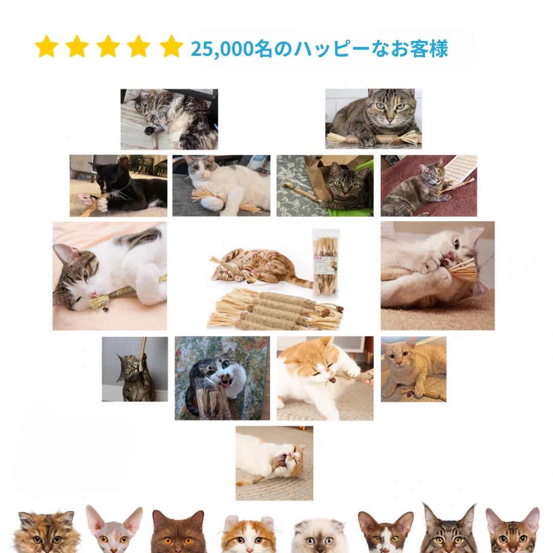 SNSでも喜びの声、続々！