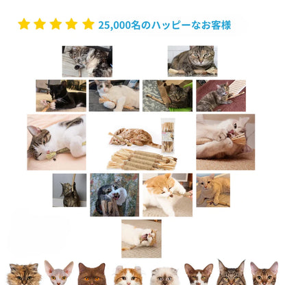 SNSでも喜びの声、続々！