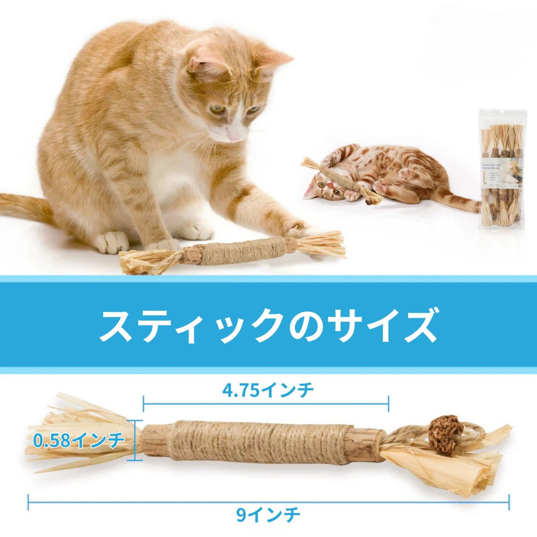 誤飲や窒息の危険はありませんか？