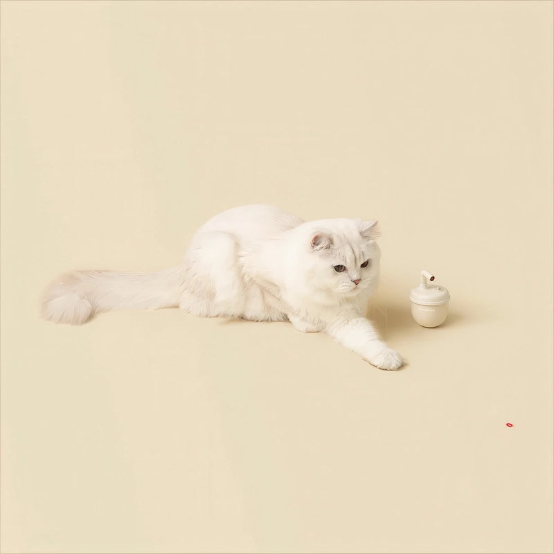 猫 おもちゃ 自動を見つめる白猫。室内飼いの猫の好奇心を刺激するデザイン。