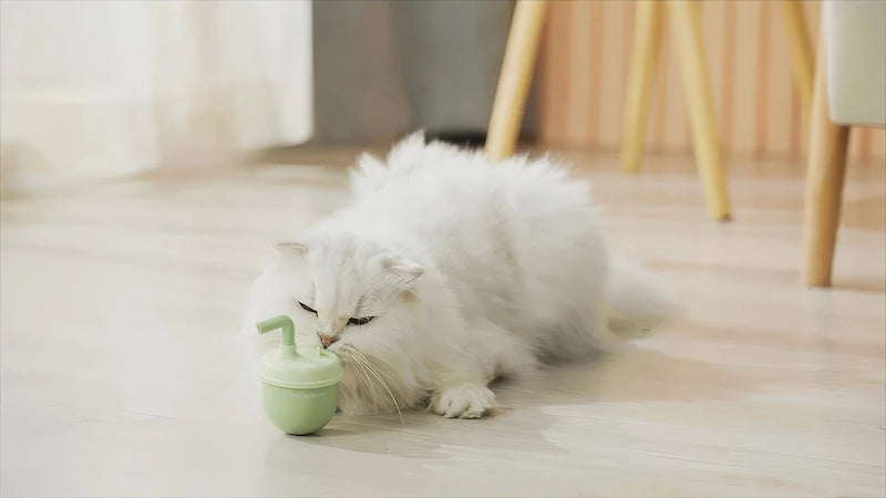 ミントグリーンの猫 おもちゃ 自動をくんくんと嗅ぐ猫。キャットニップで興味UP。
