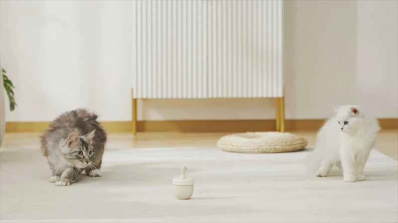 リビングで猫 おもちゃ 自動に夢中になる2匹の猫。多頭飼いの家庭にもおすすめ。