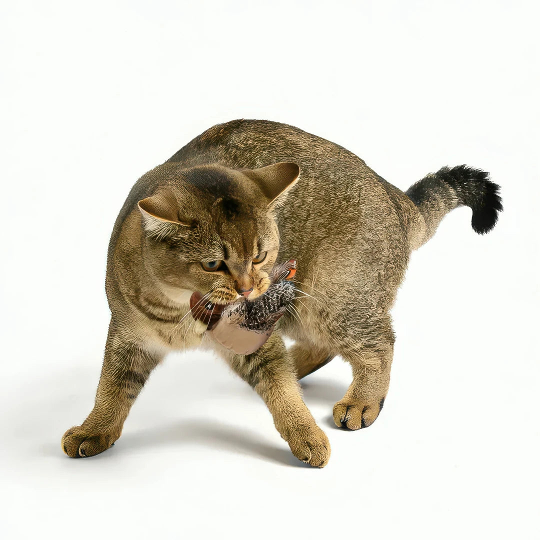 もふもふ幸せ フラッピーバード2.0 — 猫が夢中になるインタラクティブおもちゃ