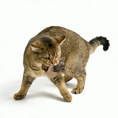 もふもふ幸せ フラッピーバード2.0 — 猫が夢中になるインタラクティブおもちゃ