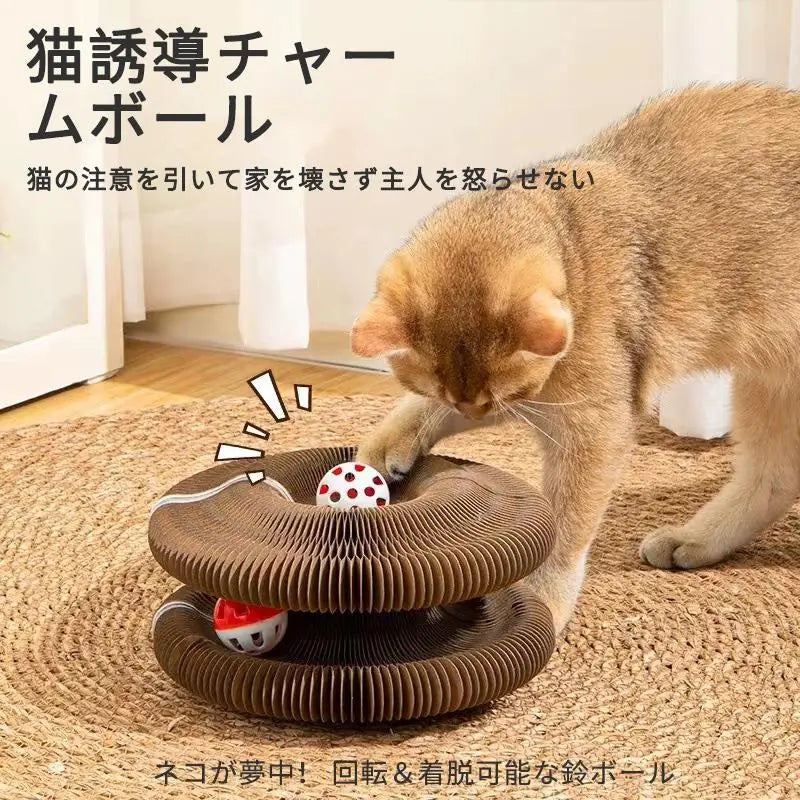 くるりんコロコロ™｜飽きない猫用爪とぎ＆知育おもちゃ – もふもふ幸せ