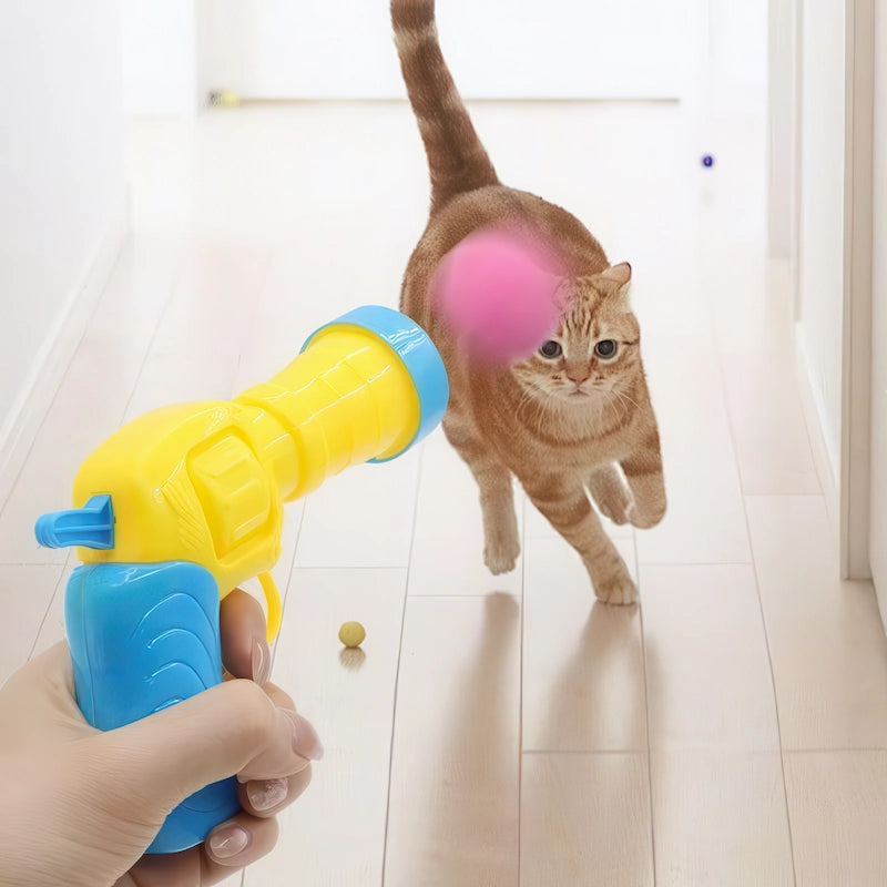 廊下を駆け寄る猫に向かって猫用ボールランチャーからピンクの毛玉をシュートする一人称視点。室内で手軽にできる追いかけっこ遊びで、愛猫の健康維持とストレス解消をサポート。