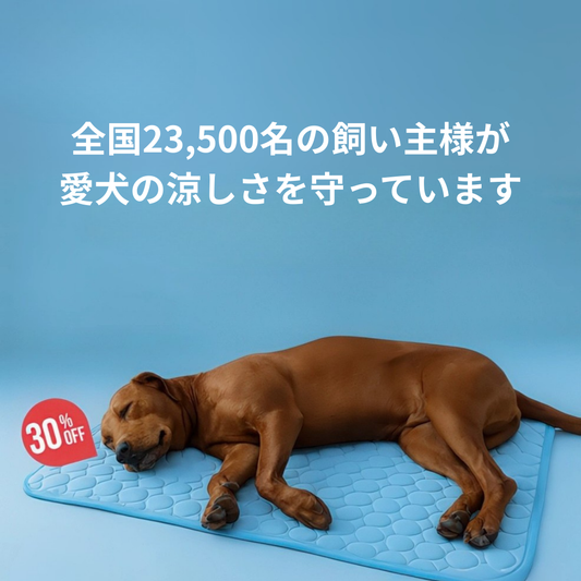 瞬間冷感マット「涼風（すずかぜ）」