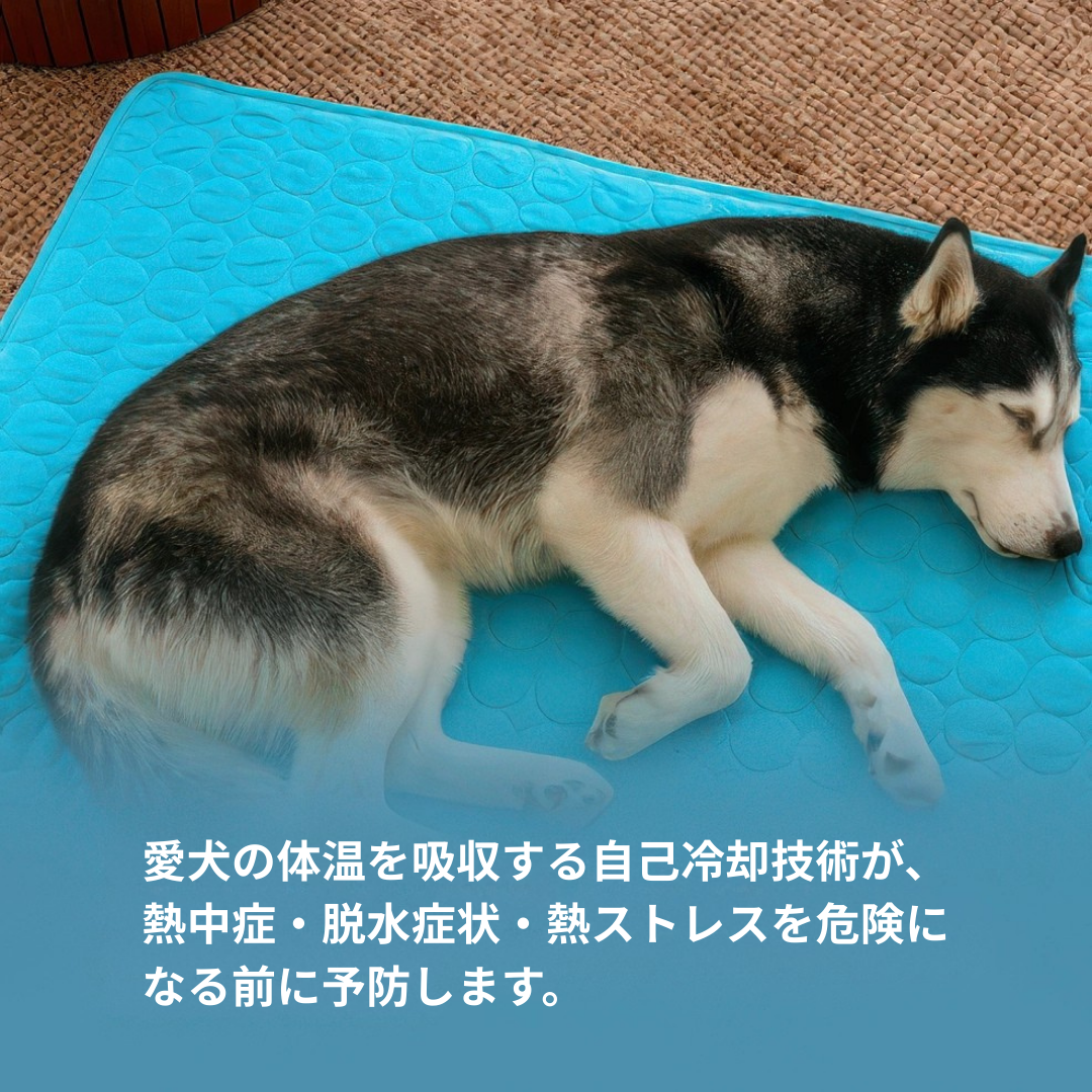 瞬間冷感マット「涼風（すずかぜ）」