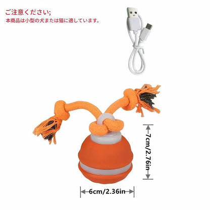 直径6cmのスマートボール本体と7cmのロープアクセサリー、USB充電ケーブルのセット。小型犬や猫に最適なサイズで、噛みやすい設計のペット用おもちゃ。