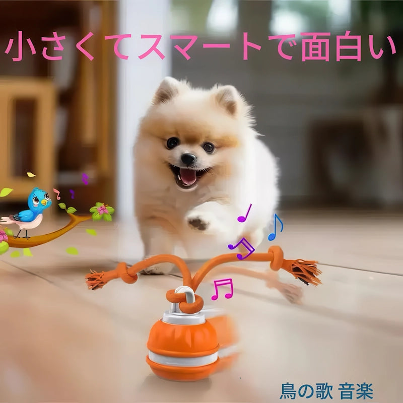 ポメラニアンが楽しそうに追いかける、小さくて賢い自動ボール。鳥の鳴き声のような音が鳴り、ペットの狩猟本能を刺激して運動不足を解消します。