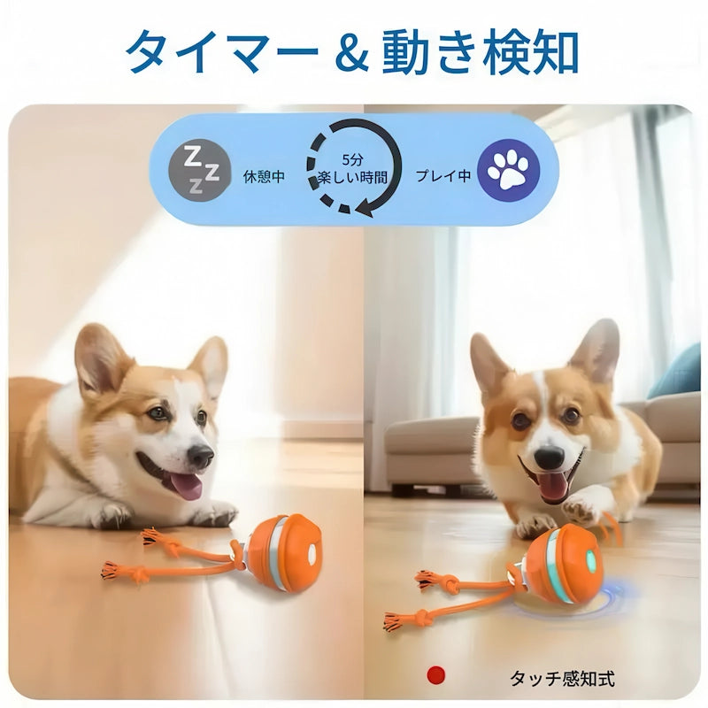 5分間遊んだ後に自動で休憩モードに入るスマート機能付き。タッチを感知して再起動するインタラクティブな犬用おもちゃで、遊びすぎを防ぎます。