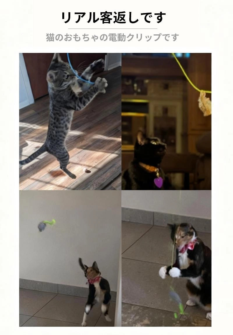もふもふ幸せの電動クリップ式猫じゃらしで遊ぶ猫たちのリアルな口コミ写真。実際に購入されたお客様の愛猫が夢中でジャンプする様子と使用事例。