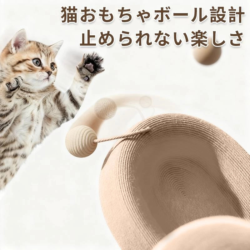 ストレス解消に最適・猫じゃらしボールで夢中になって遊ぶ子猫の様子