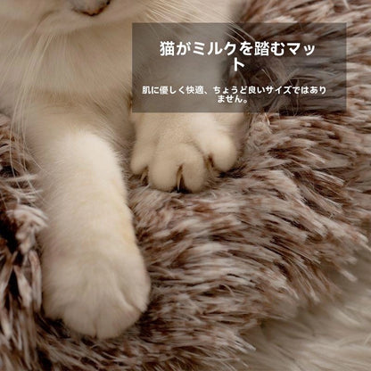 もこもこ囲み猫ベッド 冬の冷え対策に 付属ブランケットでぽかぽか 犬猫OK