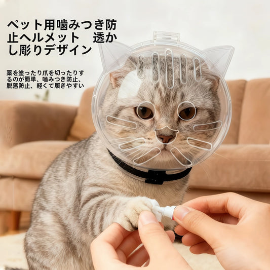 透明ヘルメットを被った猫に目薬を差す様子と爪切り補助