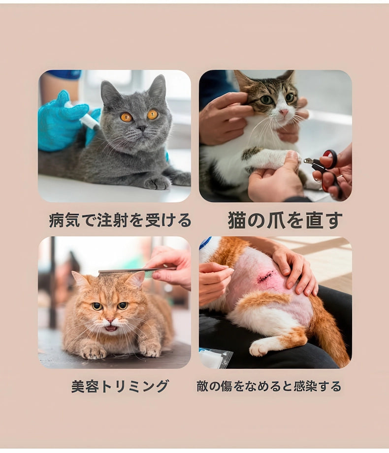 エリザベスカラーの代わりとして、点眼や爪切り、美容トリミング、傷口舐め防止など、多様なケアシーンで活躍する猫用噛み付き防止ヘルメットの使用例。