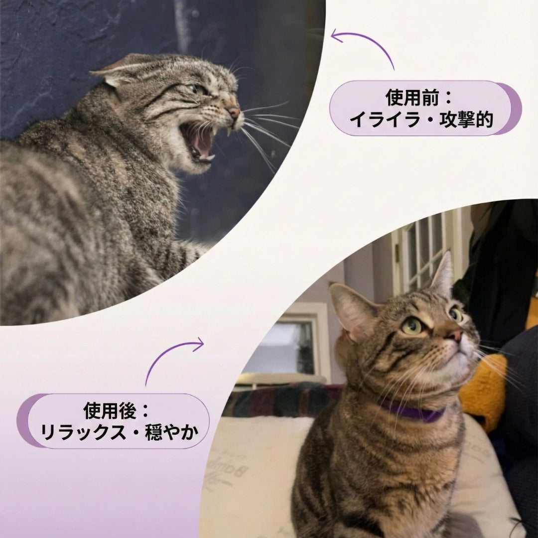 「猫の安らぎ」フェロモンカラー | 夜鳴き・粗相・ストレスを自然にケア