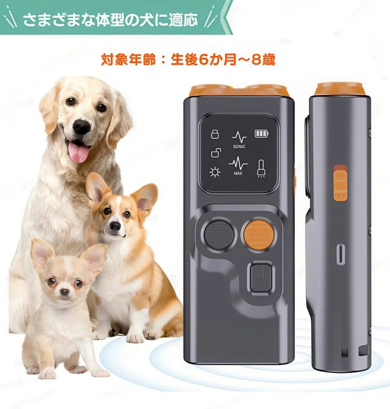 小型犬から大型犬まで対応 ゴールデンレトリバー チワワ コーギー 対象年齢6ヶ月から8歳のしつけ