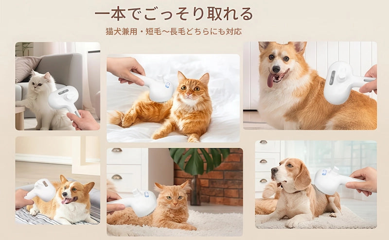 ペット用ミストブラシ使用例 猫犬兼用で短毛種から長毛種まで対応 抜け毛をごっそり除去