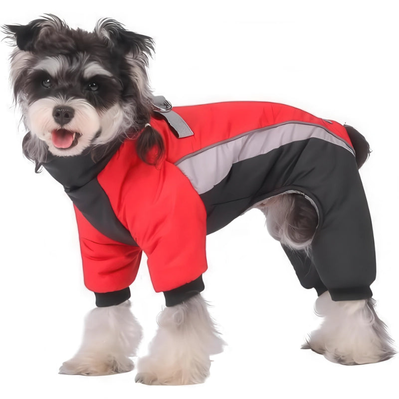 レッド×ブラック