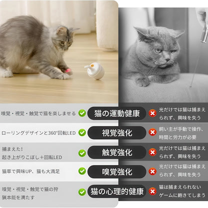 普通のレーザーポインターとPawsAuro自動おもちゃの比較、猫の心理的健康への影響