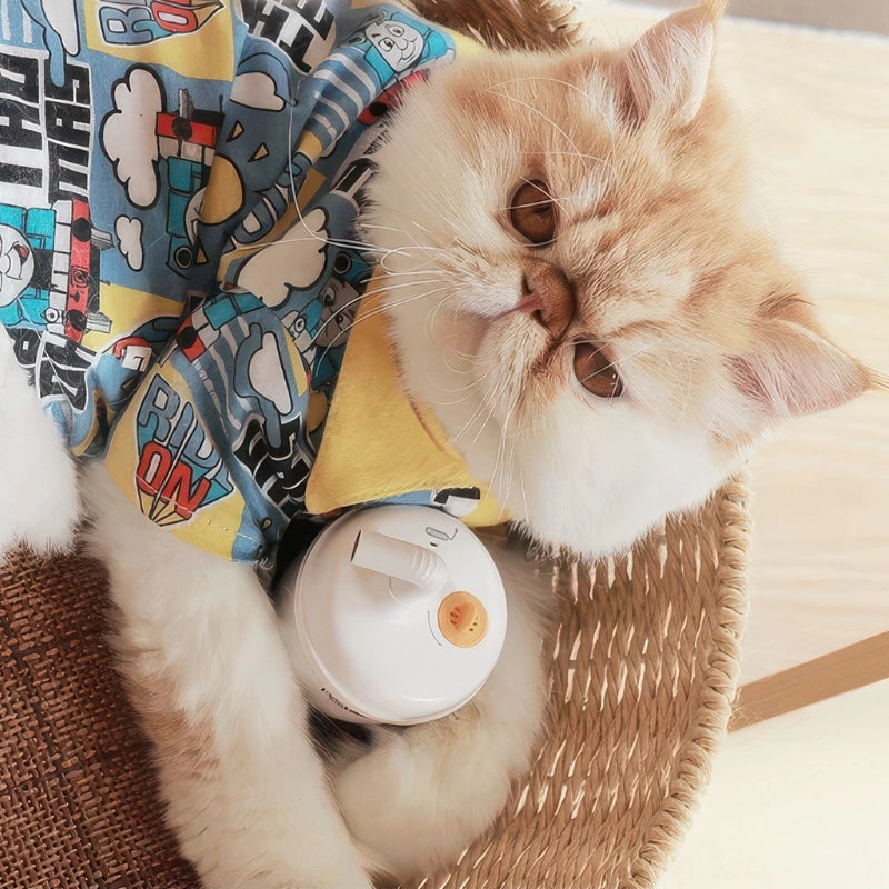 バスケットでくつろぐ愛猫とPawsAuro。獣医師監修の安全な設計で室内猫も大満足。