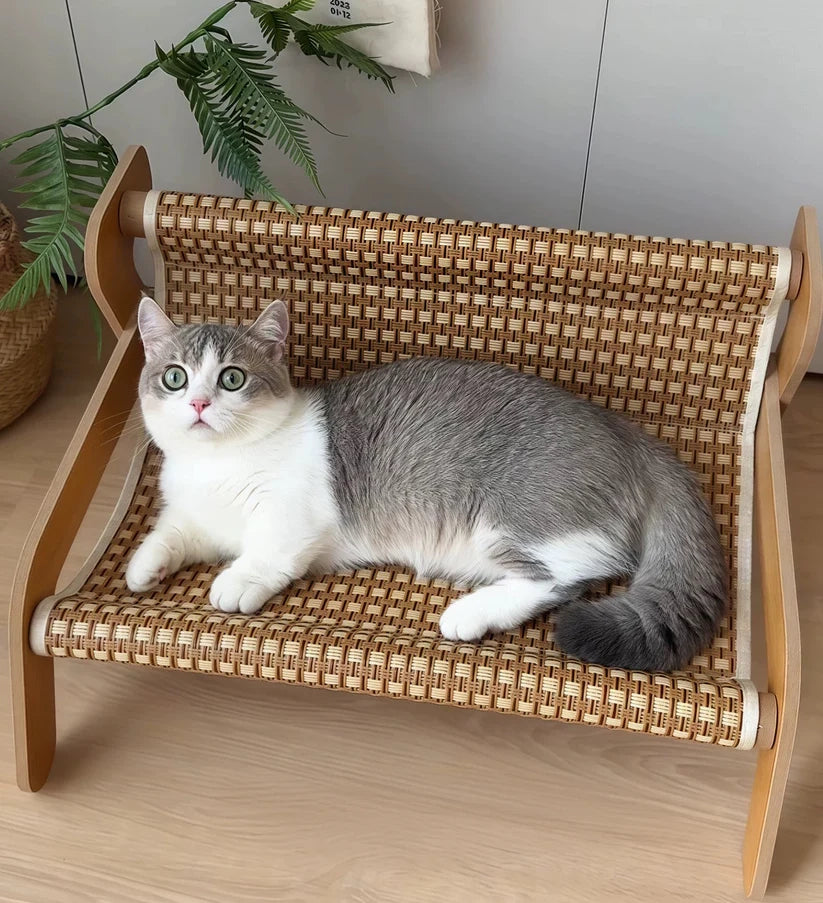 夏でも快適な通気性抜群の猫用ソファ。高床式で湿気対策も万全。オールシーズン対応