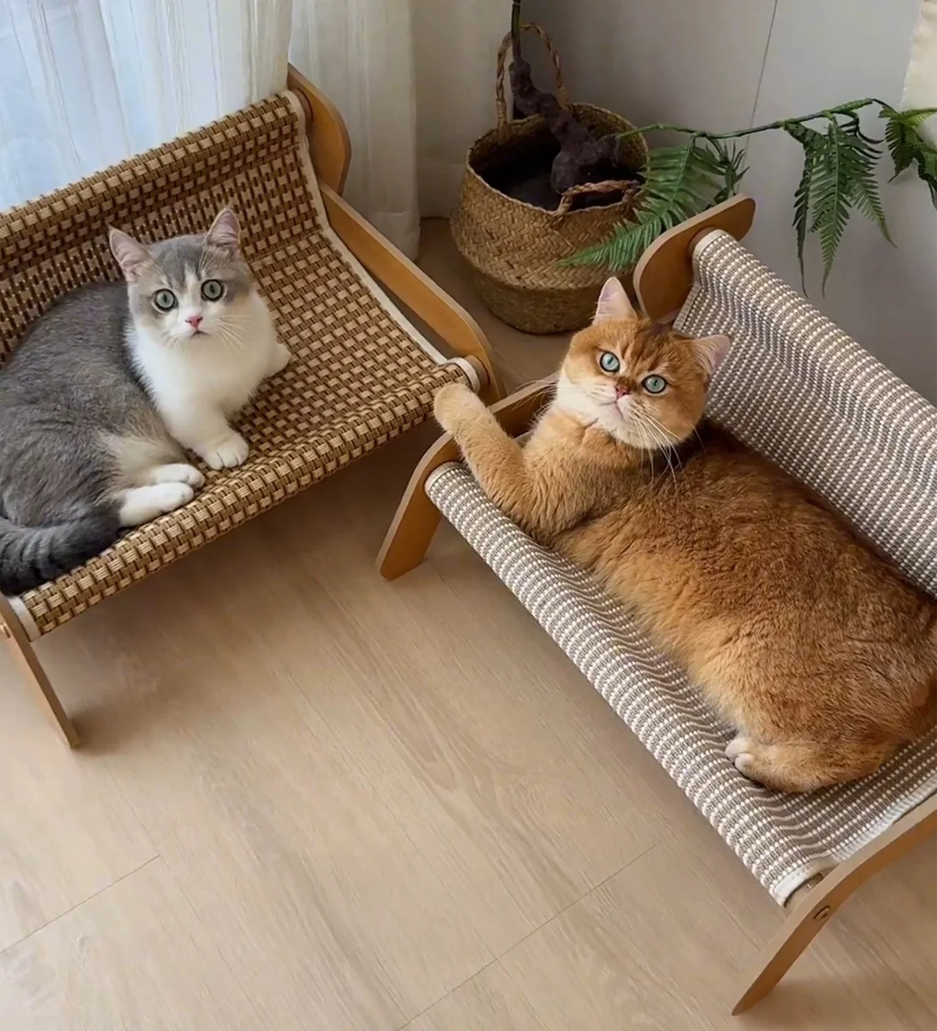 日本製高品質猫用爪とぎベッド。インテリアに調和するナチュラルデザインで、猫のストレス解消と快適な睡眠を実現