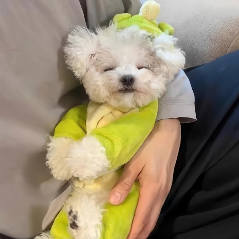 犬 恐竜 コスプレ 全身 しっぽ 上目遣い インスタ映え