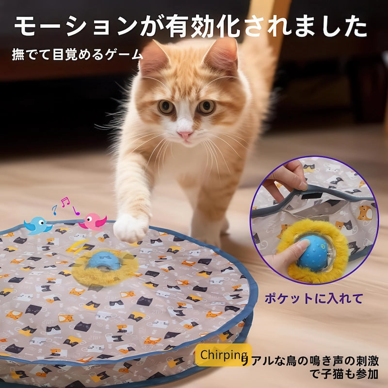 モーション起動で猫 ひとり遊びも充実。専用ポケットにボールをセットし、鳥の鳴き声刺激で興味を引きます